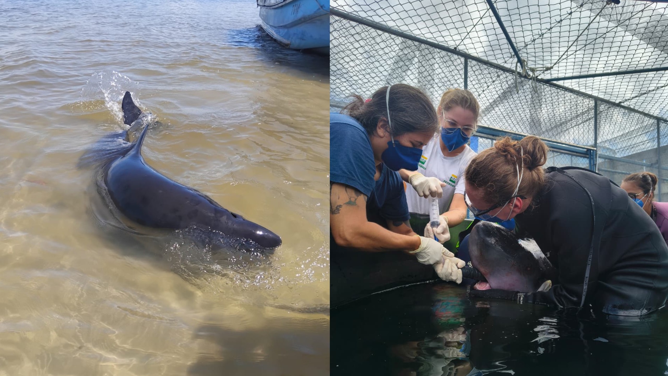 foto Not&iacute;cia Guarapuava