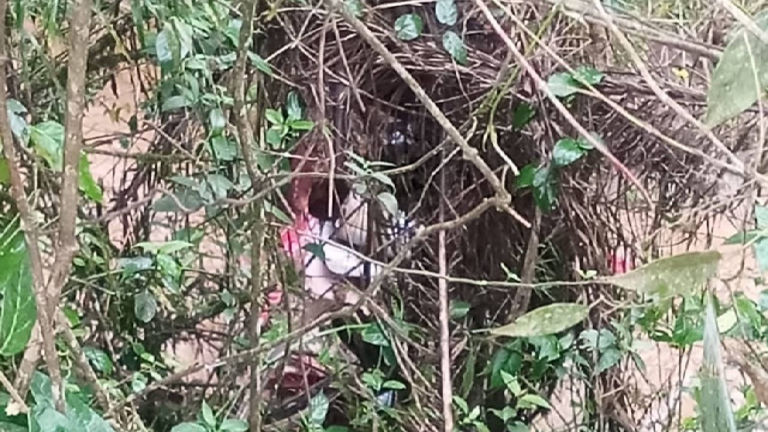 foto Not&iacute;cia Guarapuava